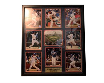 30x34 9 Photo Collage - Cachorros de Chicago