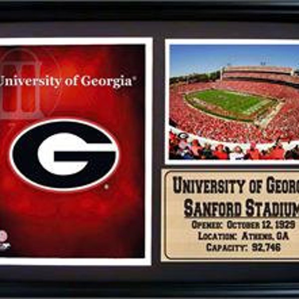 University of Georgia Logo and Stadium Photo on a 12x18 Deluxe Frame