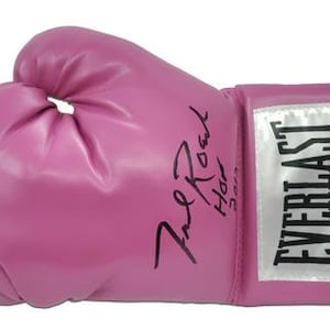 May include: Pink boxing glove with the signature "Evander Holyfield" and the Everlast logo.