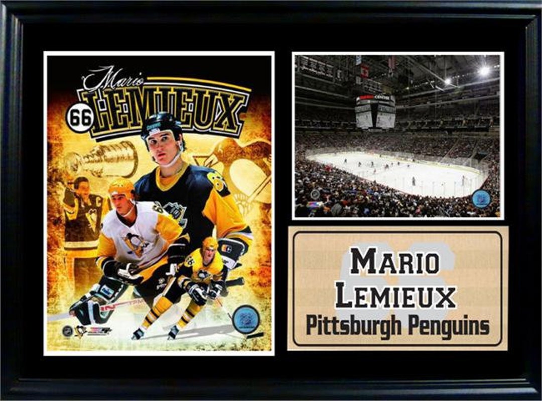 Mario Lemieux signed 11x14 photo framed Penguins coin autograph