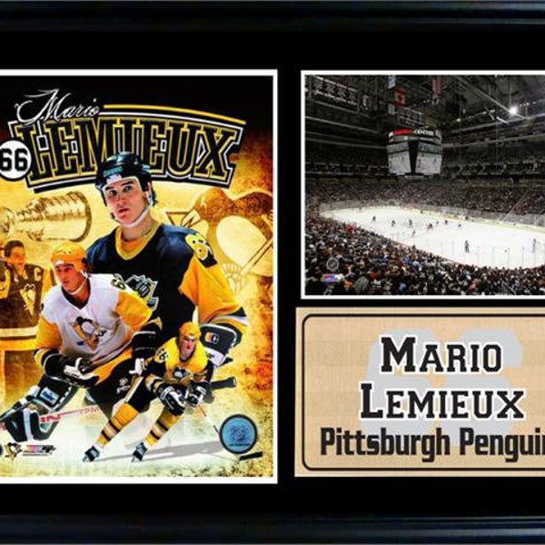 12x18 Photo Stat Frame - Mario Lemieux Pittsburgh Penguins