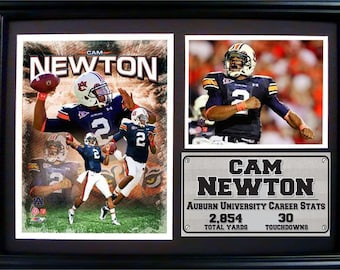 Auburn University Cam Newton 12x18 Photo Stat Frame