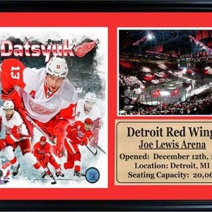 Könnte beinhalten: Ein gerahmtes Foto von Detroit Red Wings Eishockeyspielern, darunter Pavel Datsyuk, mit rotem Hintergrund. Das Foto wird von einer Plakette mit dem Namen des Teams, dem Namen der Arena, dem Eröffnungstermin, dem Standort und der Kapazität begleitet. Der Text auf der Plakette lautet: "Detroit Red Wings, Joe Lewis Arena, Eröffnung: 12. Dezember 1979, Standort: Detroit, MI, Kapazität: 20.066".
