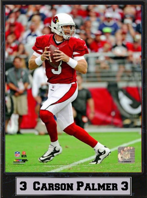 9x12 Plaque - Carson Palmer Arizona Cardinals