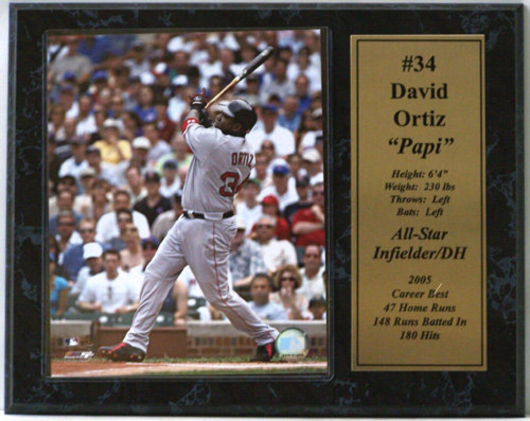 12x15 Stat Plaque - David Ortiz Boston Red Sox - Etsy