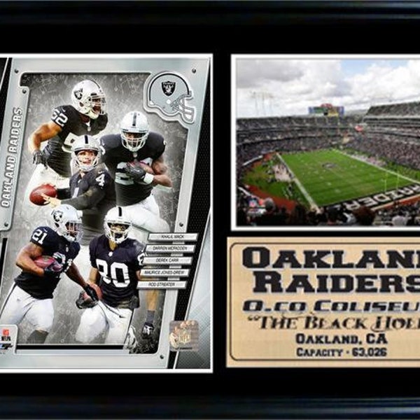 12x18 Photo Stat Frame - 2014 Oakland Raiders