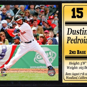 12 x 15 Stat Plaque - Dustin Pedroia