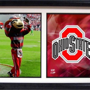 12x18 Double Frame - Ohio State