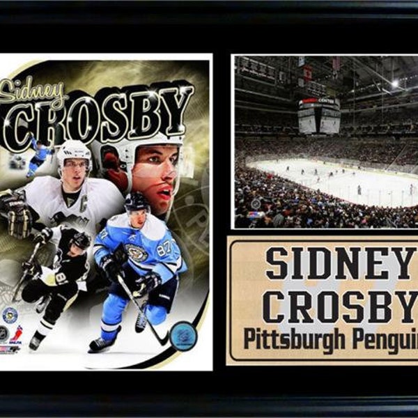 12x18 Photo Stat Frame - Sidney Crosby Pittsburgh Penguins