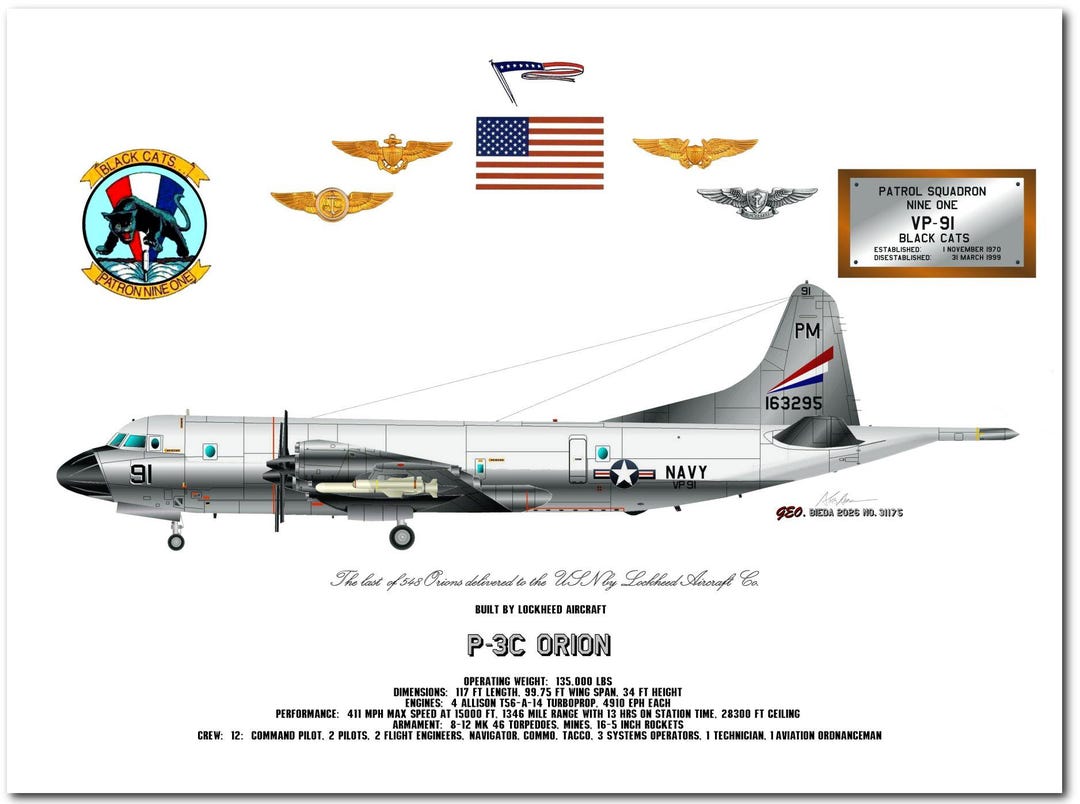 Vp 91 VP-91 Black Cats P-3C Orion – 1990s Squadron Artwork - Etsy