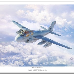 May include: A gray and white EA-6B Prowler aircraft, nicknamed "Electric Warrior", flies through a cloudy sky. The aircraft is from VMAQ-1 "Banshees" and was deployed to the Persian Gulf in 2005.