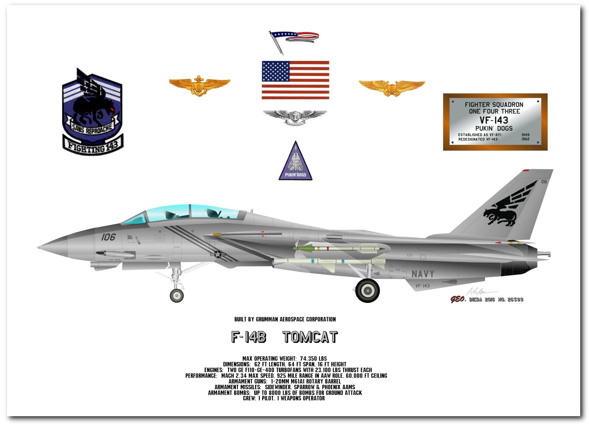 F-14B Tomcat US Navy Fighter, VF 143 Pukin' Dogs Print - Etsy