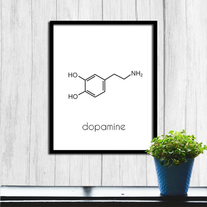 May include: A black and white illustration of the chemical structure of dopamine, a neurotransmitter, with the word "dopamine" written below it. The illustration is framed in a black frame and is hanging on a white wood wall.
