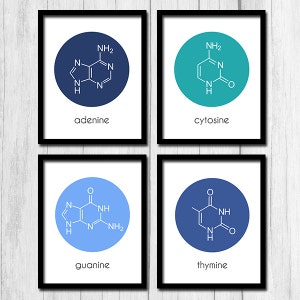 Molecule Art DNA Art Printable Art Nucleotides Gift for Biologist Biology Gift Gift for Scientist Scientist Gift Digital Download DNA Print