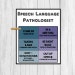 SPEECH LANGUAGE PATHOLOGIST IN SPANISH TRANSLATION visual data 4