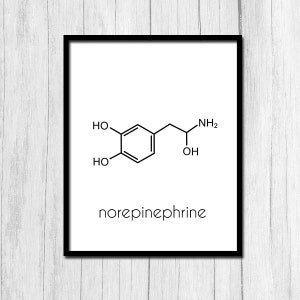 Norepinephrine Molecule Art Digital Download Norepinephrine Print Printable Art Gift for Scientist Science Print Psychologist Print