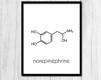 Noradrenaline molecuul Art Digital Download noradrenaline afdrukbare kunst cadeau voor wetenschapper wetenschap Print psycholoog afdrukken afdrukken