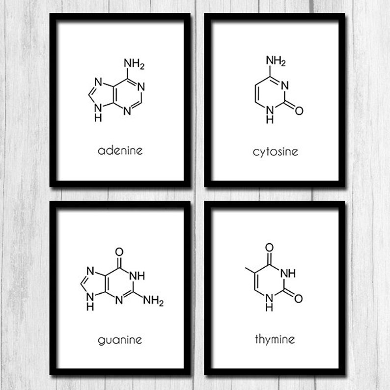 Art d'ADN ADN affiche nucléotides imprimable Science Art Art nucléotides Digital Download ADN molécule Art biologie Art cadeau pour l'impression de biologiste image 1