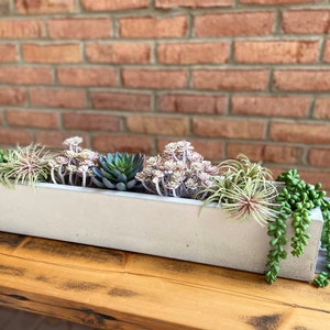 Trough Centerpiece Planter / Concrete / Dining Table / Gift / Minimalist / Windowsill Centerpiece / Christmas Decor / Handmade / Unique Gift