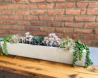 Trough Centerpiece Planter / Concrete / Dining Table / Gift / Minimalist / Windowsill Centerpiece / Christmas Decor / Handmade / Unique Gift