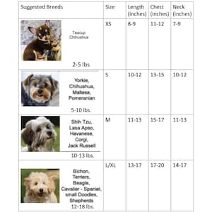 Puede incluir: Tabla que muestra las razas de perros sugeridas seg&uacute;n el tama&ntilde;o, con im&aacute;genes de diferentes razas de perros. La tabla enumera las medidas de tama&ntilde;o, longitud, pecho y cuello en pulgadas para cada categor&iacute;a de tama&ntilde;o. Las categor&iacute;as de tama&ntilde;o son XS, S, M y L/XL. Las razas enumeradas incluyen Chihuahua de taza de t&eacute;, Yorkshire Terrier, Chihuahua, Malt&eacute;s, Pomerania, Shih Tzu, Lhasa Apso, Havan&eacute;s, Corgi, Jack Russell, Bichon, Terriers, Beagle, Cavalier Spaniel, Doodles peque&ntilde;os y Pastores.