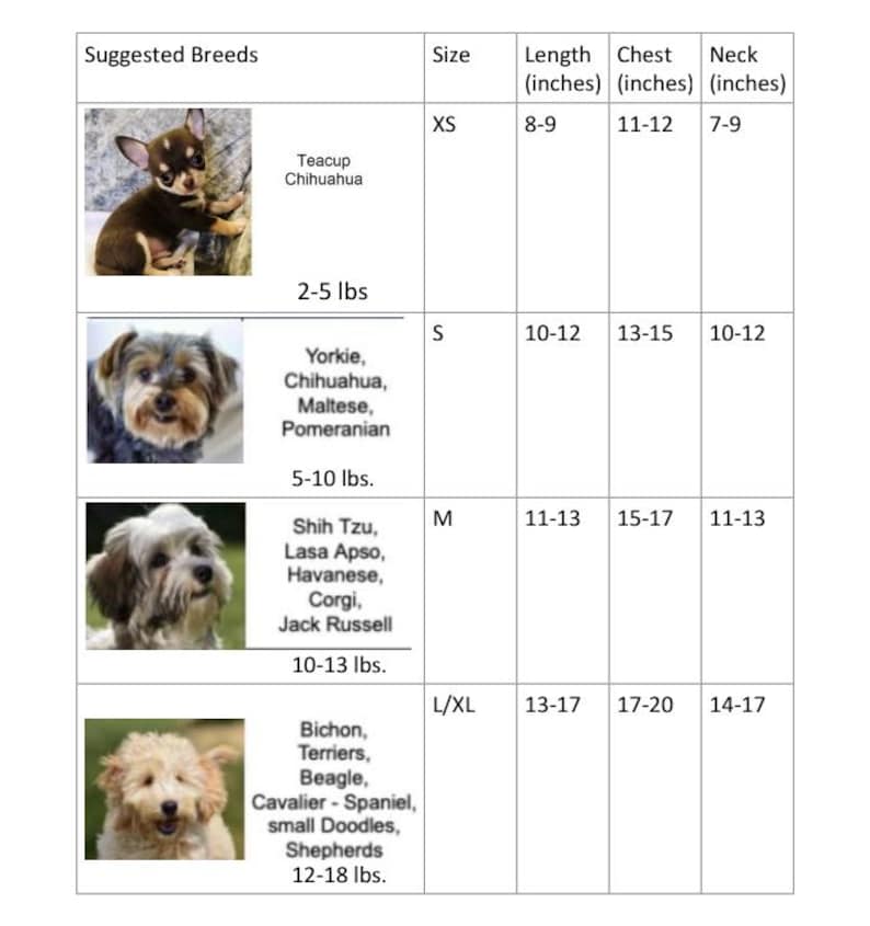 Puede incluir: Tabla que muestra las razas de perros sugeridas seg&uacute;n el tama&ntilde;o, con im&aacute;genes de diferentes razas de perros. La tabla enumera las medidas de tama&ntilde;o, longitud, pecho y cuello en pulgadas para cada categor&iacute;a de tama&ntilde;o. Las categor&iacute;as de tama&ntilde;o son XS, S, M y L/XL. Las razas enumeradas incluyen Chihuahua de taza de t&eacute;, Yorkshire Terrier, Chihuahua, Malt&eacute;s, Pomerania, Shih Tzu, Lhasa Apso, Havan&eacute;s, Corgi, Jack Russell, Bichon, Terriers, Beagle, Cavalier Spaniel, Doodles peque&ntilde;os y Pastores.