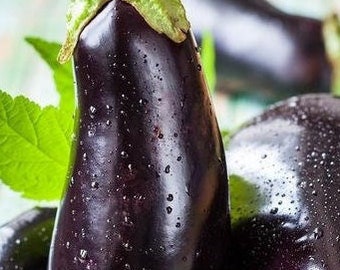 100 Eggplant black beauty seeds