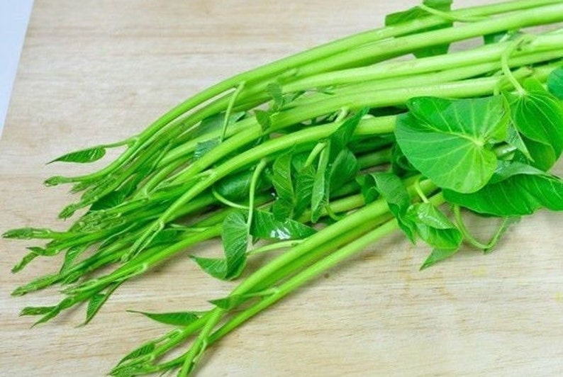 Thai Water Spinach Seeds Etsy