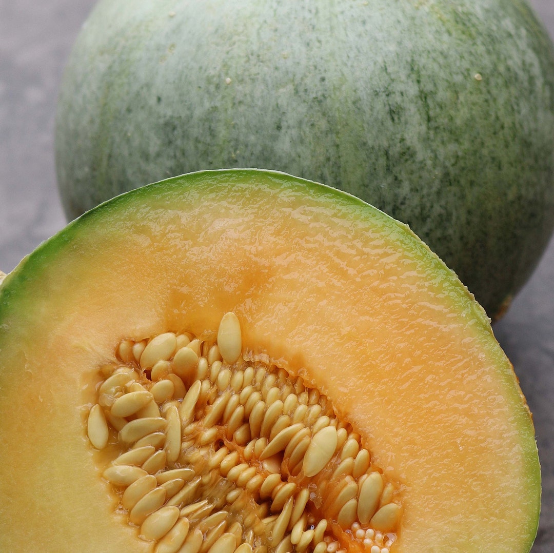 50 French Charentais Melon Seeds Etsy