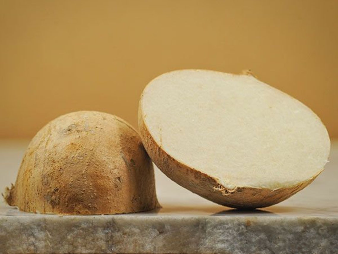 20 Jicama seeds 15 Etsy