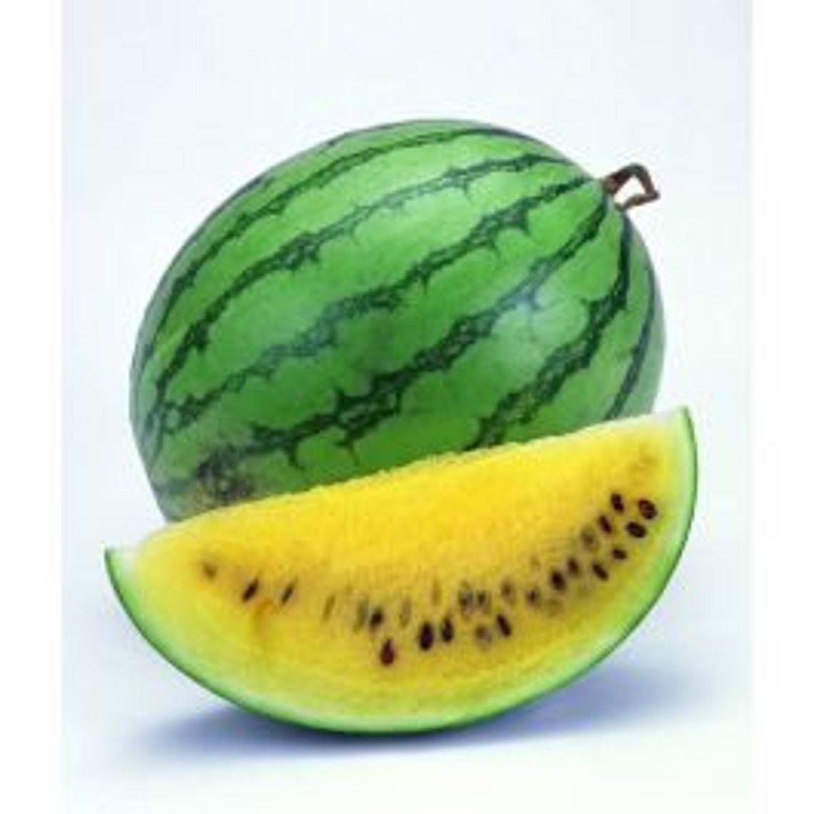 10 Baby Doll Watermelon seeds Etsy