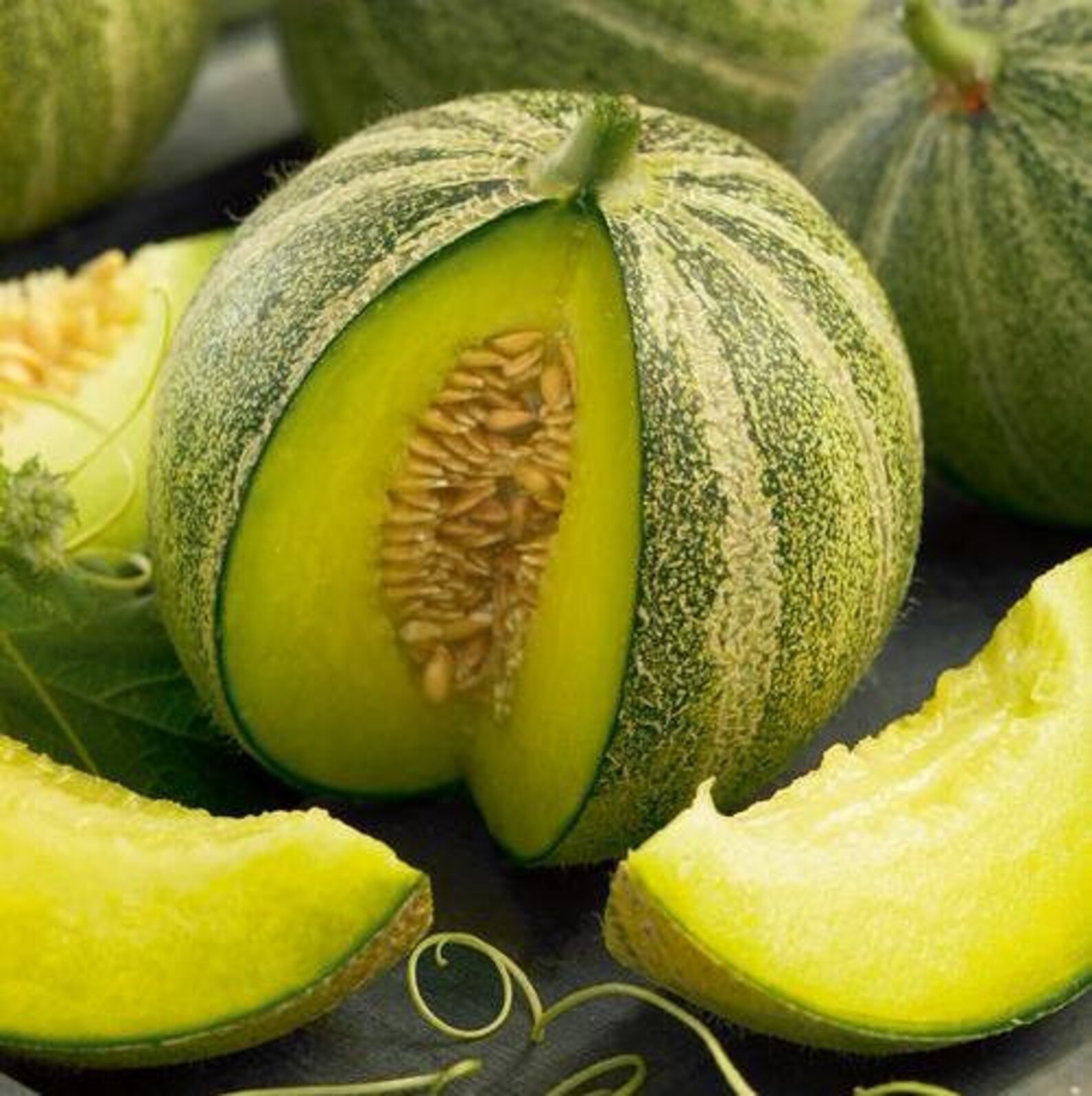 10 Israel HA'OGEN MELON seeds Etsy