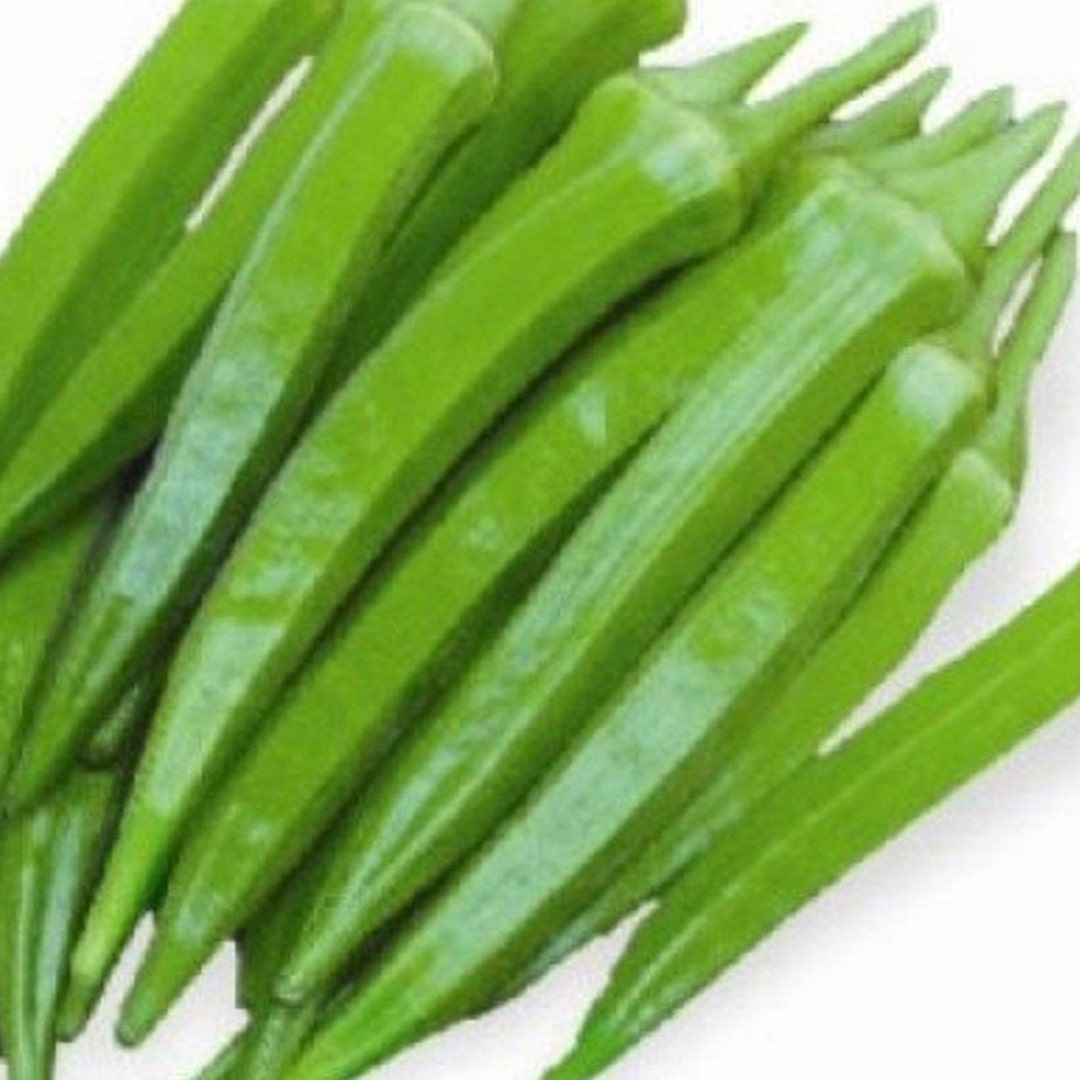 50 Emerald Okra Seeds Etsy