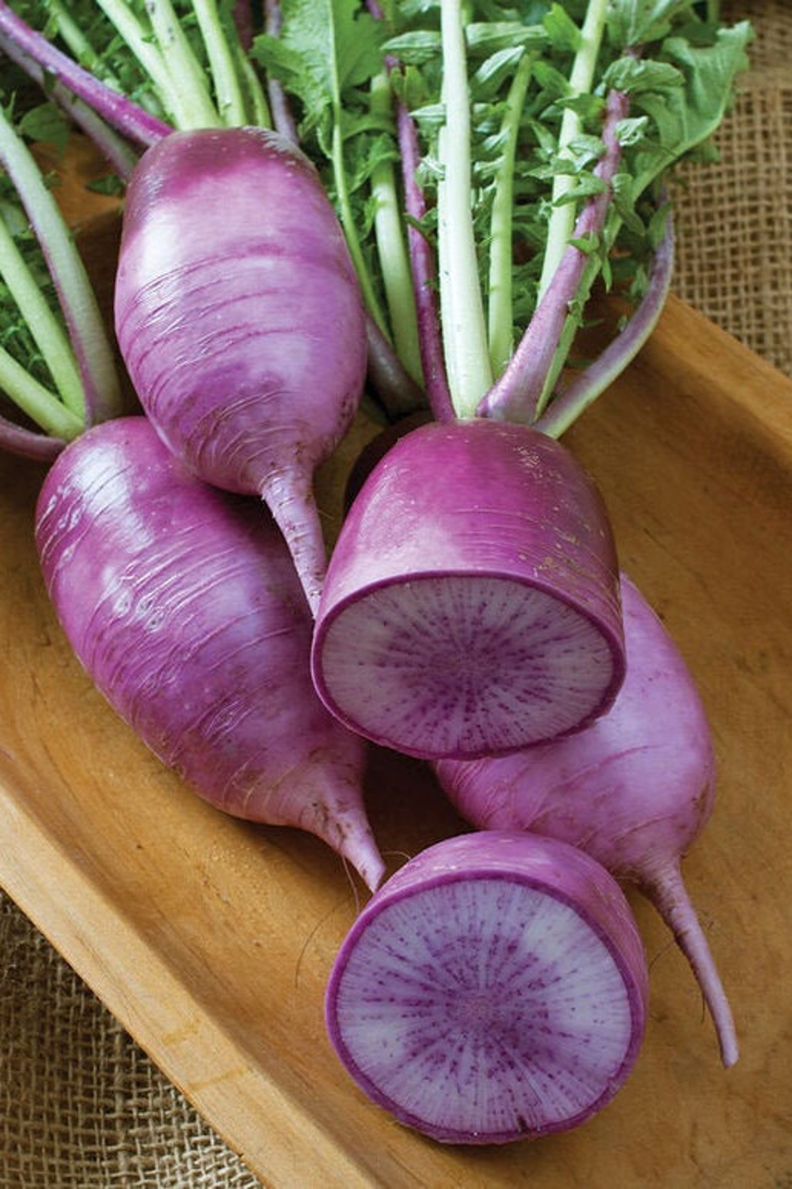 50korean Radish Bora King Hybrid Seeds - Etsy UK