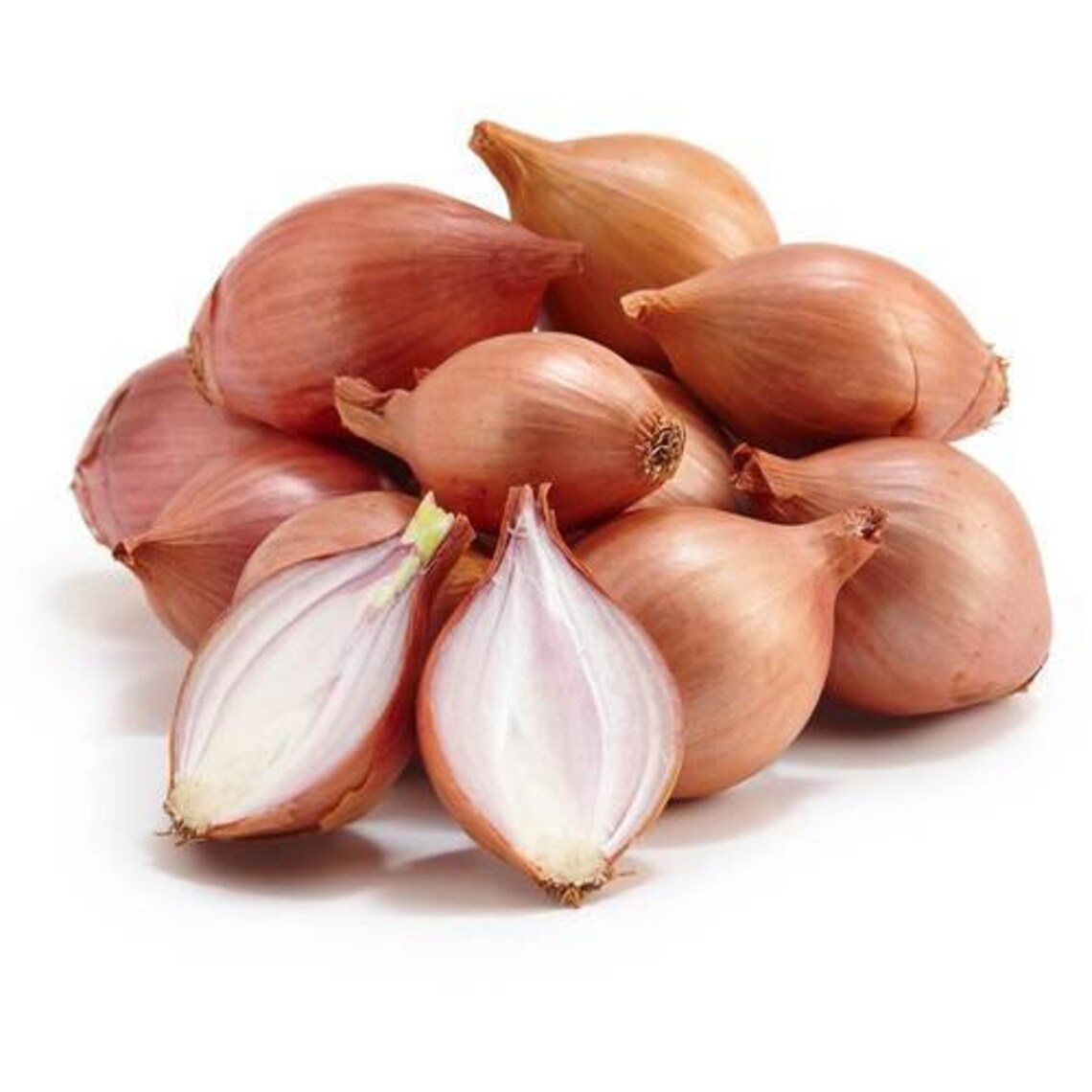 20 French Shallot Ambition F1 Seed 01 Etsy