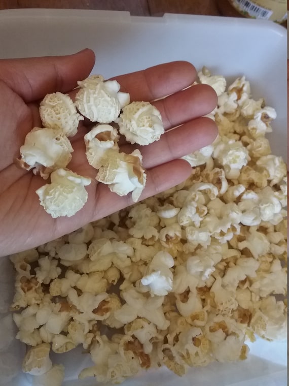 white mushroom popcorn kernels