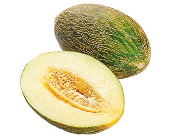 Piel Del Sapo De Melon Juteux Et Sucré Espagnol