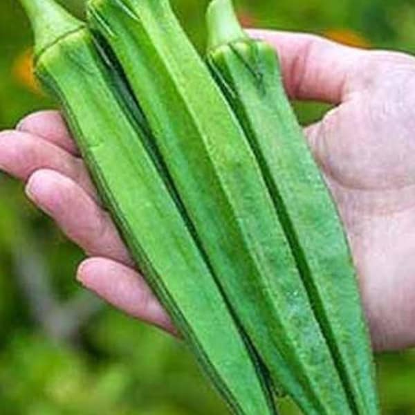 50 Long pod green okra seeds