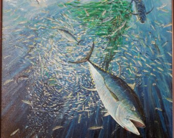 Lone Kelp Stringer