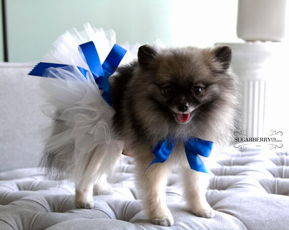Dog Tutu, White Bridal Tulle, Rainbow Waistband, Pet Costume