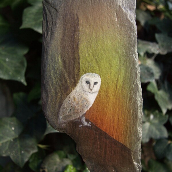 Barn Owl