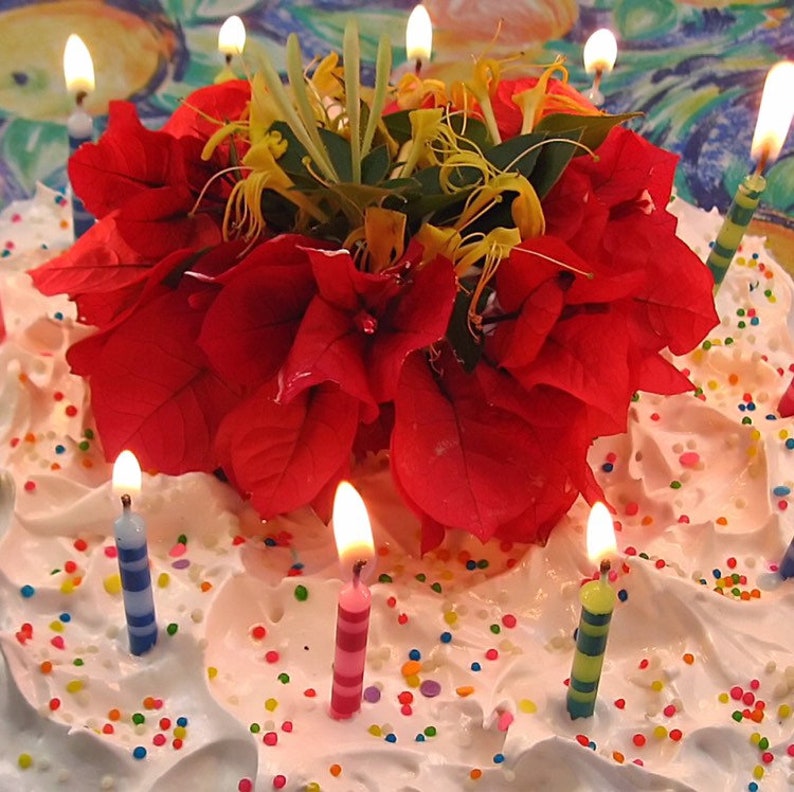 Birthday Cake Candle Birthday Candle Birthday Gift for Mom Etsy