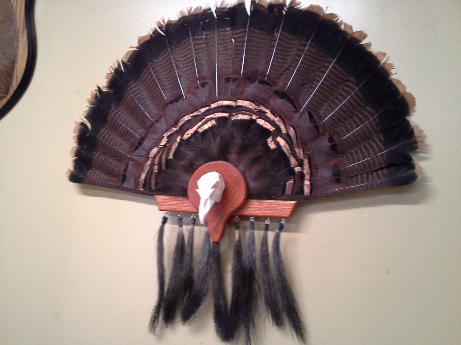 Turkey Skull Tail mount kit Etsy