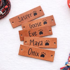 May include: Tan leather pet tags with names "Jasper", "Goose", "Eve", "Maya", and "Onyx" and paw print icons. A red and black leash, a red dog bone, a red ball with paw prints, and a bowl of dog food are also in the image.