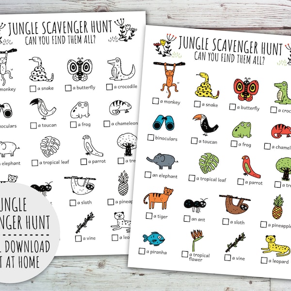 Jungle Theme - Etsy