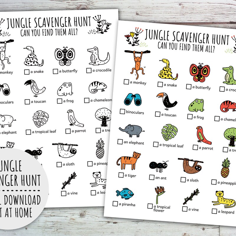 Jungle Theme - Etsy