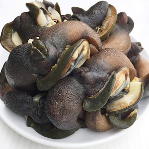 Snail