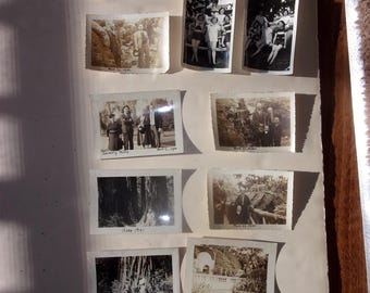 13 Antique Beverly Hills, Los Angeles, Griffith Park, Giant Redwood California, Balboa Park and More Original Snapshots