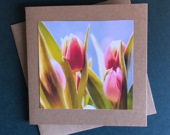 Greetings Card Pack of 10 - All occasions, blank cards - Easter