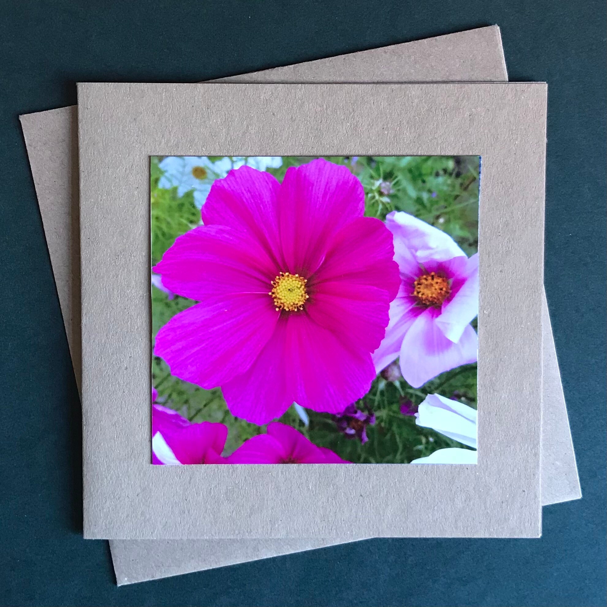 Greetings Card Pack of 10 All occasions blank cards Etsy